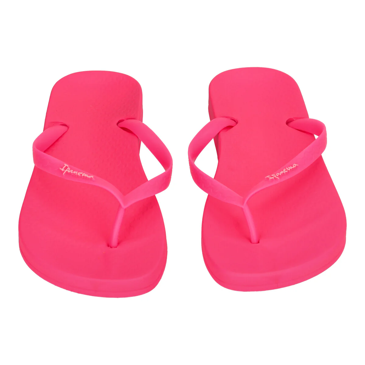 ANATOMICA COLORS - Image 5