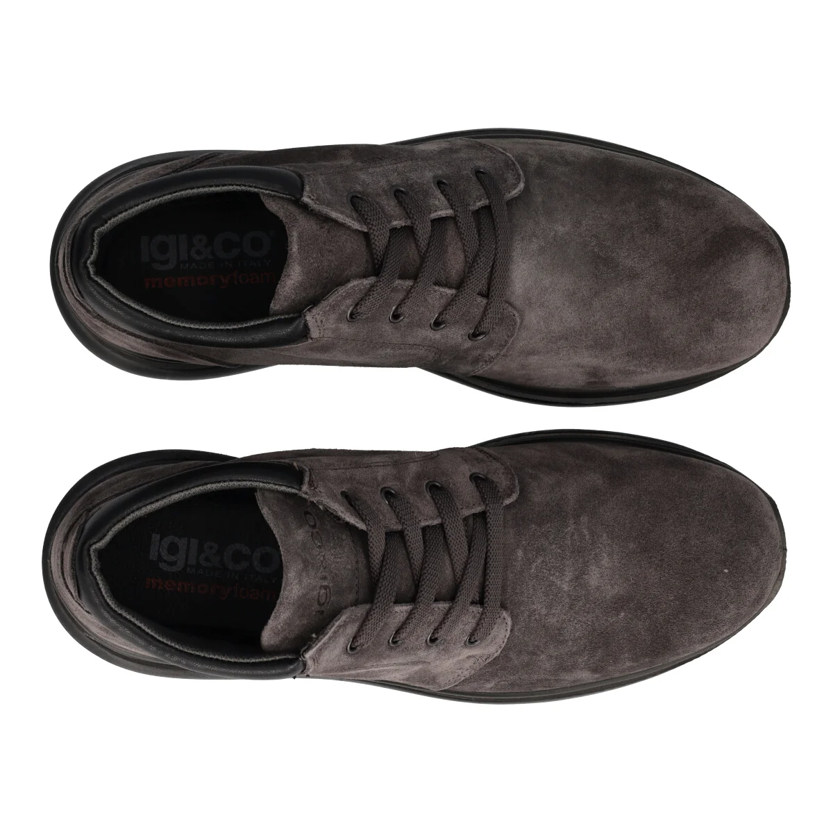 ERNEST - Image 5
