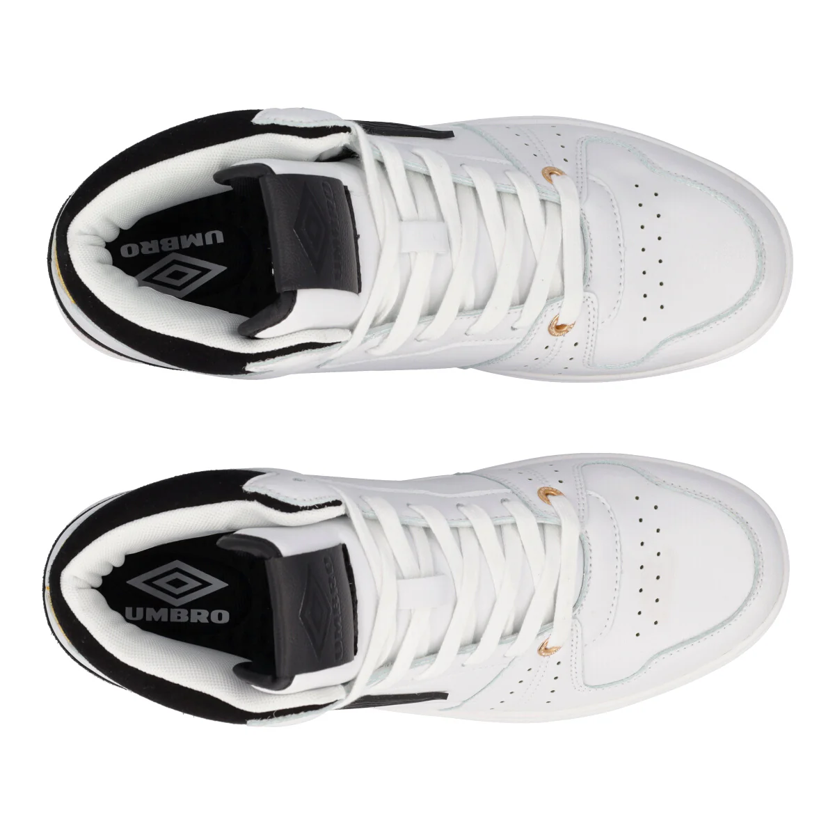 HIGH LEGACY - Image 5