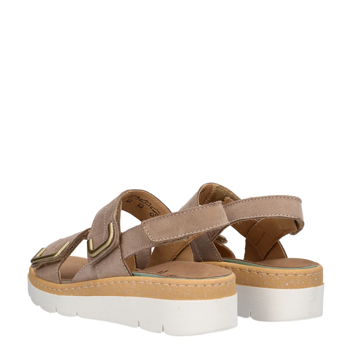 MOLL - Image 4