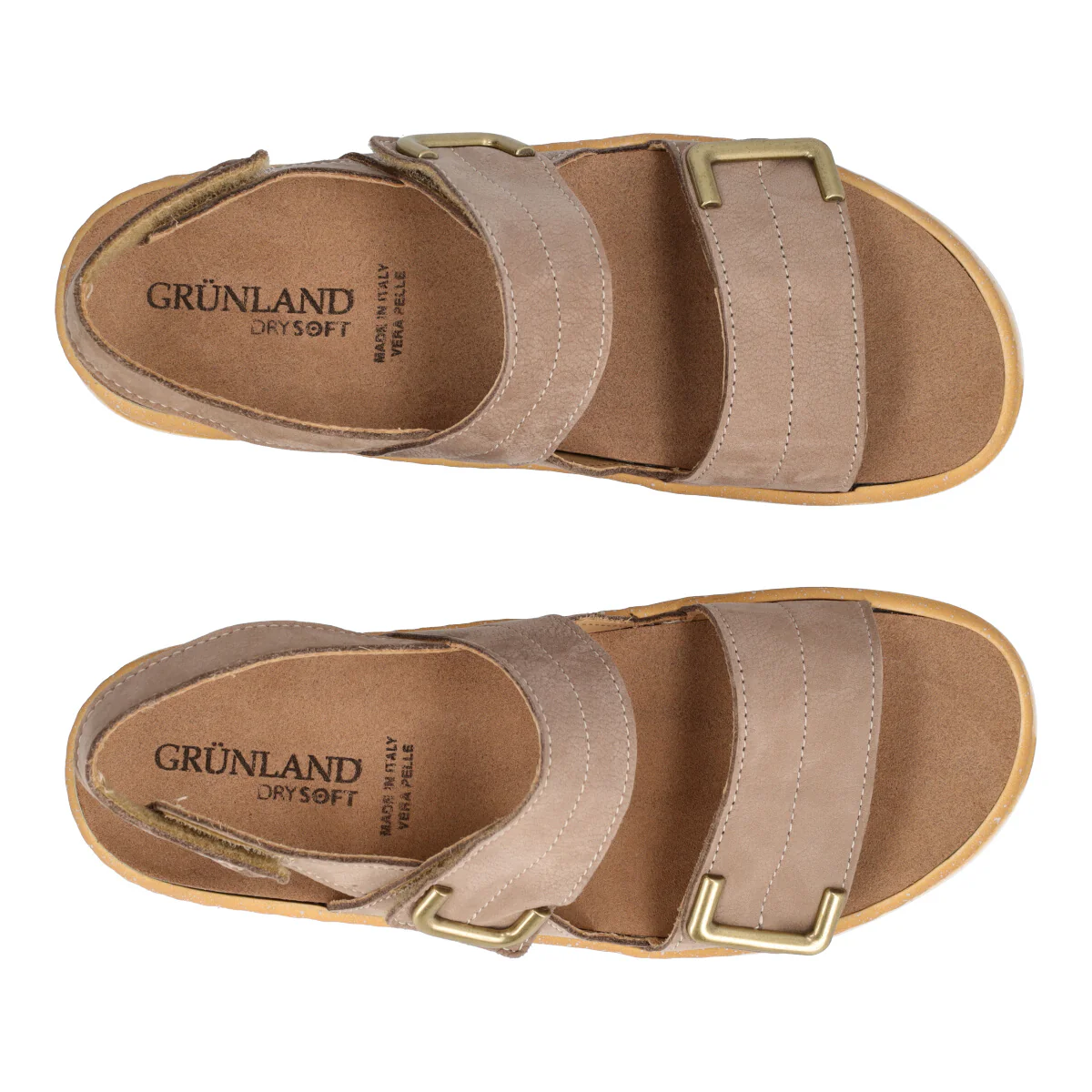 MOLL - Image 5